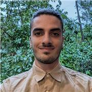 Insegnante di storia e Italiano per ragazzi massimo terza media